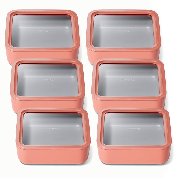 10 Cup Food Storage (6x) / Perracotta