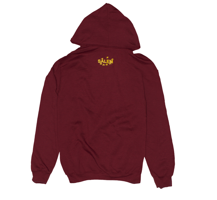 COLLEGIATE HOODIE