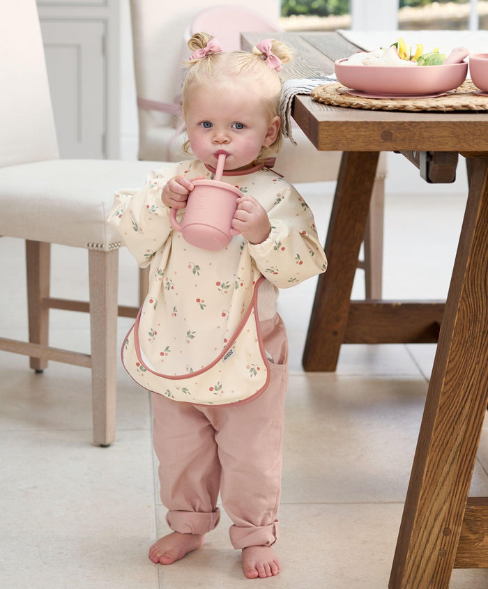 Mamas & Papas Baby Weaning Long-sleeved Bibs (2 Pack) – Berry Picnic