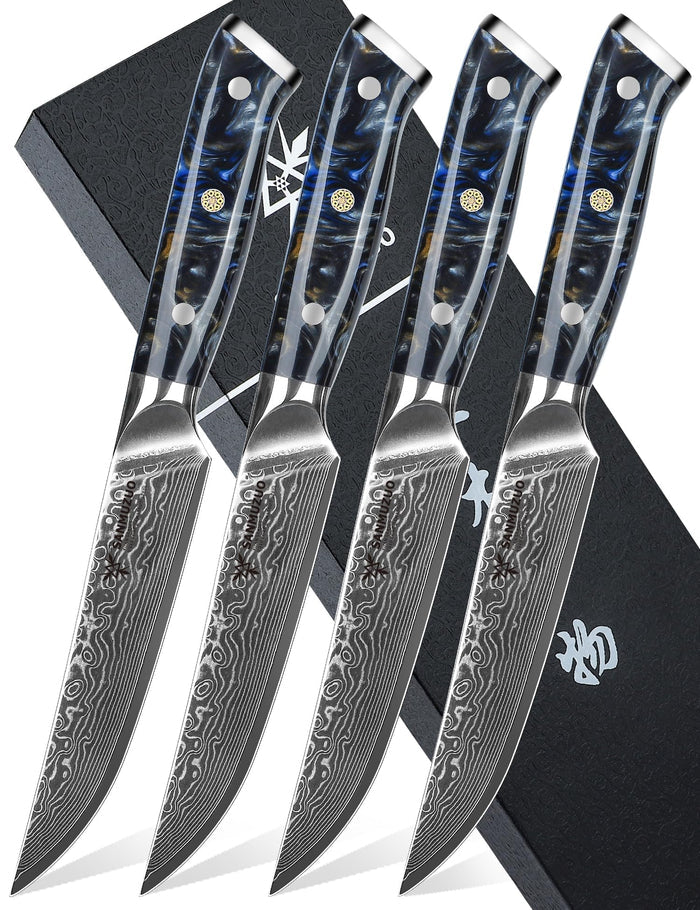 SANMUZUO Chef Cooking Knives Set- Kitchen Knife Set of 5 Piece - Ultra-Sharp VG10 Damascus Steel & Resin Handle - Xuan Series (Jade Green)