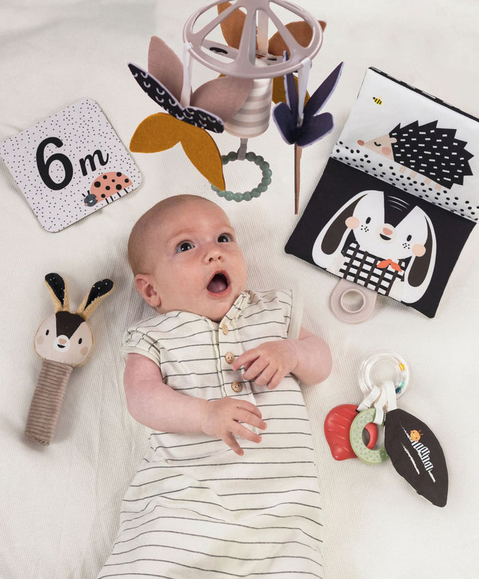 Taf Toys Gift Boxes Taf Toys Black & White Newborn Kit