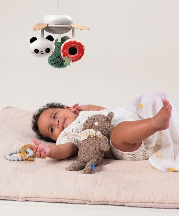 Taf Toys Gift Boxes Taf Toys Luxury Newborn Gift set